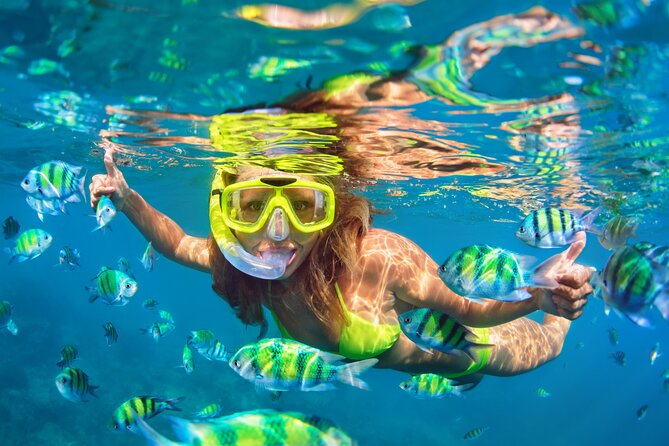 Waikiki Green Sea Turtle Snorkeling Tour - Boat Excursion - Diamond Head turns a swim into a very Hawaiian view