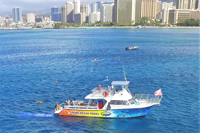 Waikiki, Hawaii: Turtle Canyon Snorkel Excursion - Turtle Canyon, where Waikiki meets the reef