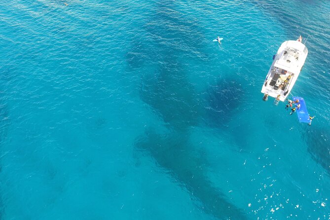 Waikiki, Hawaii: Turtle Canyon Snorkel Excursion - Is $79.21 a fair price?