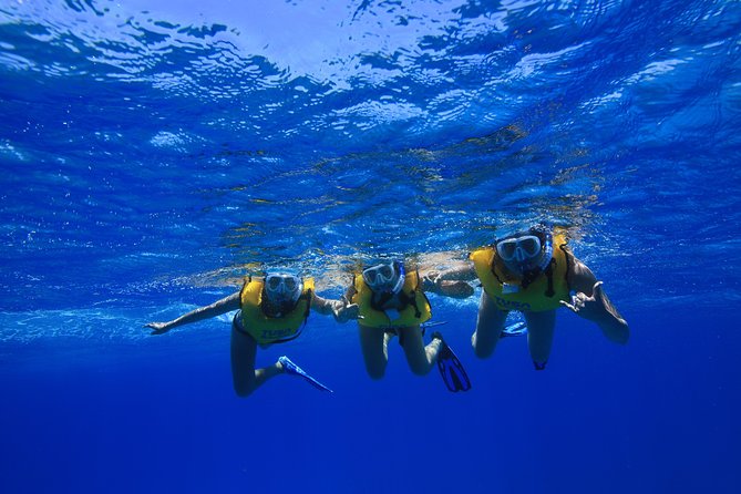 Waikiki, Hawaii: Turtle Canyon Snorkel Excursion - Who will enjoy this boat trip most?