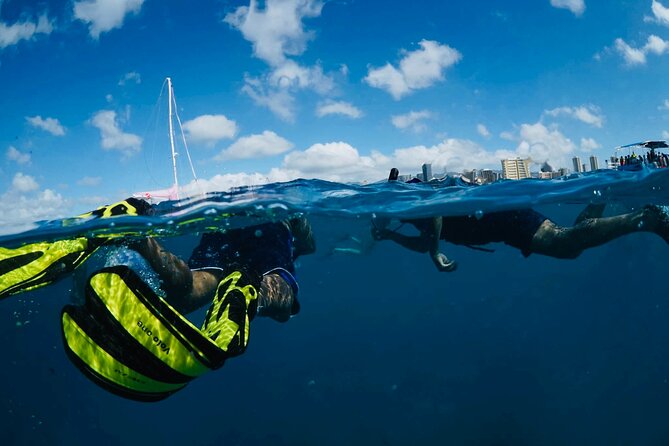 Waikiki Snorkel Tour - What to bring and what to leave behind