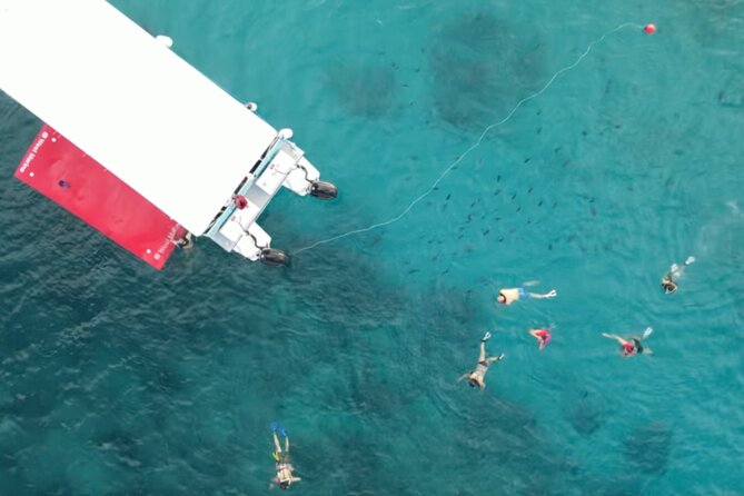 Waikiki Snorkel Tour - Who will enjoy this boat trip most