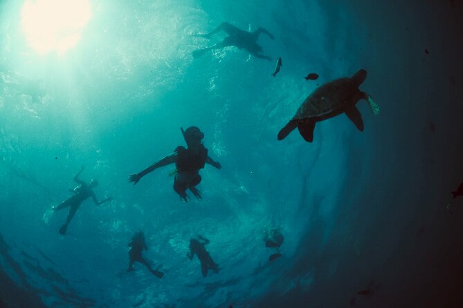 Waikiki Snorkel Tour - Getting fitted with mask, fins, and life jacket