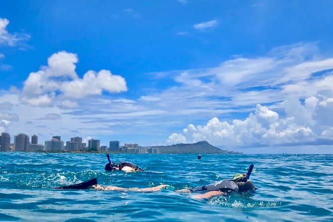 Waikiki Snorkeling & Ocean Waterpark Adventure from Oahu - Key points to know before you book