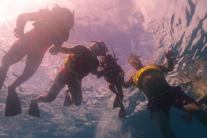 Waikiki: Turtle Canyon Snorkel - How much value do you get for $68.60?