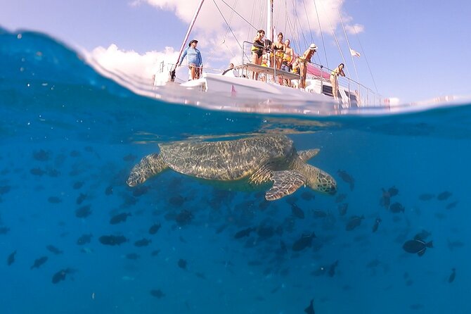 Waikiki: Turtle Canyon Snorkel - Family suitability and fitness demands