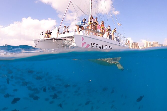 Waikiki: Turtle Canyon Snorkel - The best and weakest parts of the experience