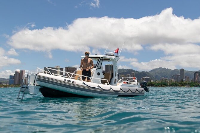 Waikiki Turtle Canyon Snorkel: Turtles Guaranteed - Crowding is the main trade-off