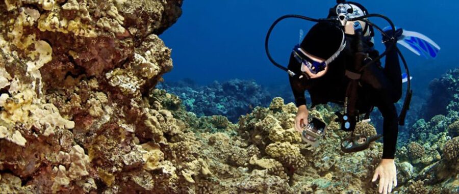 Waikoloa Catamaran Snorkel & Sail Adventure with Lunch - Getting comfortable with the snorkel gear