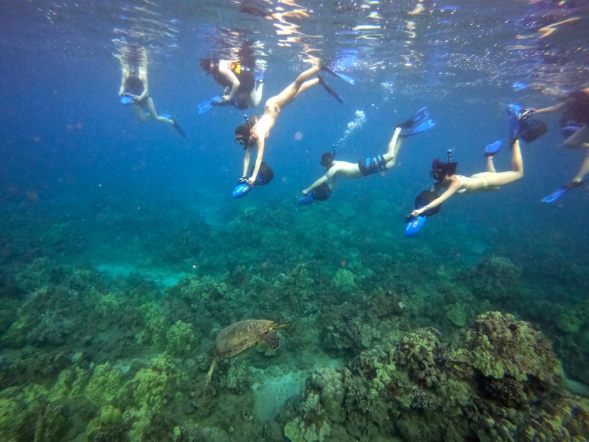 Wailea Beach: Guided Sea Scooter Snorkeling Tour - Should you book the Wailea sea scooter tour?