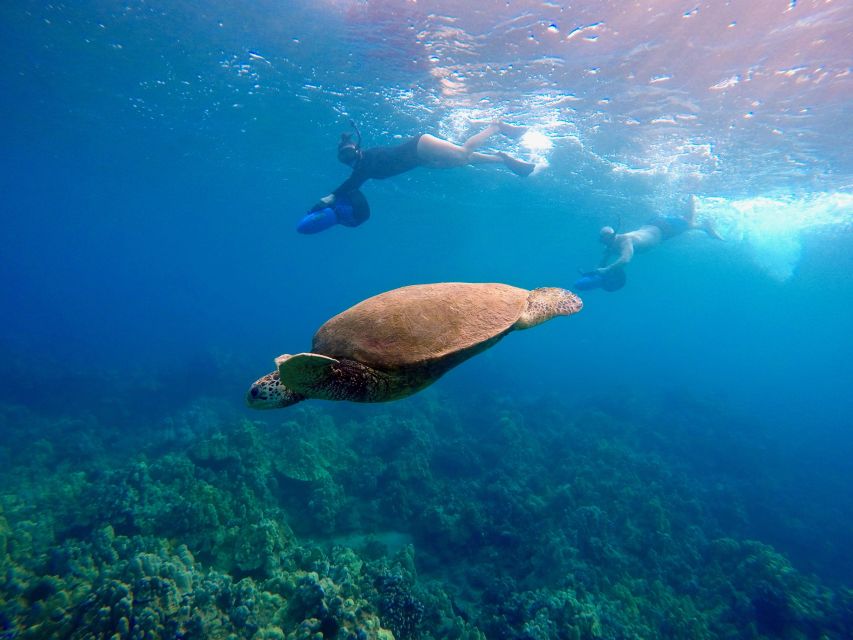Wailea Beach: Guided Sea Scooter Snorkeling Tour - The next 70 minutes: Wailea’s reef and nearby sites