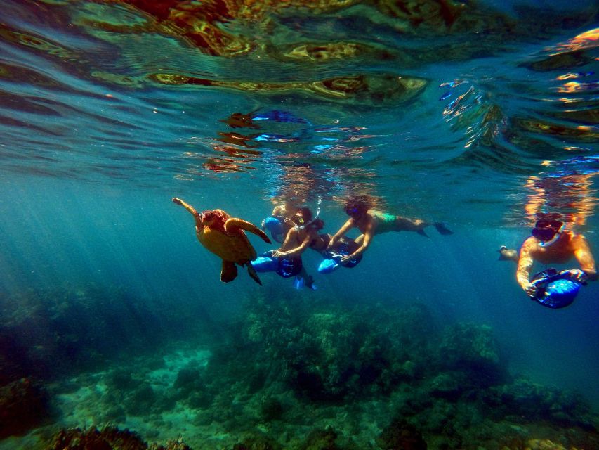 Wailea Beach: Guided Sea Scooter Snorkeling Tour - Turtles are the headline, but the reef has more to offer