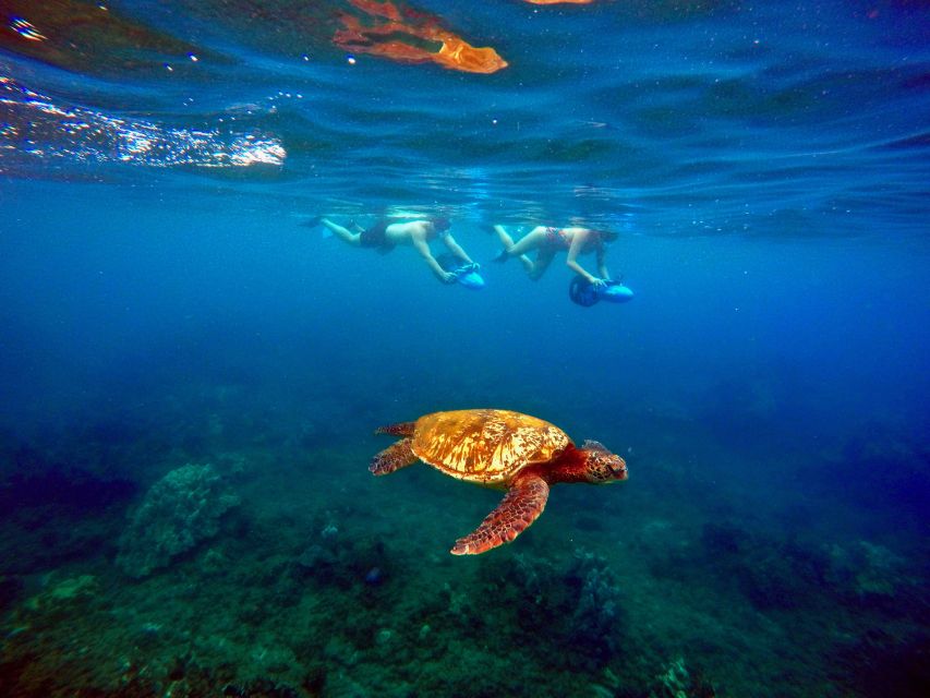 Wailea Beach: Guided Sea Scooter Snorkeling Tour - Who should book this Wailea outing?
