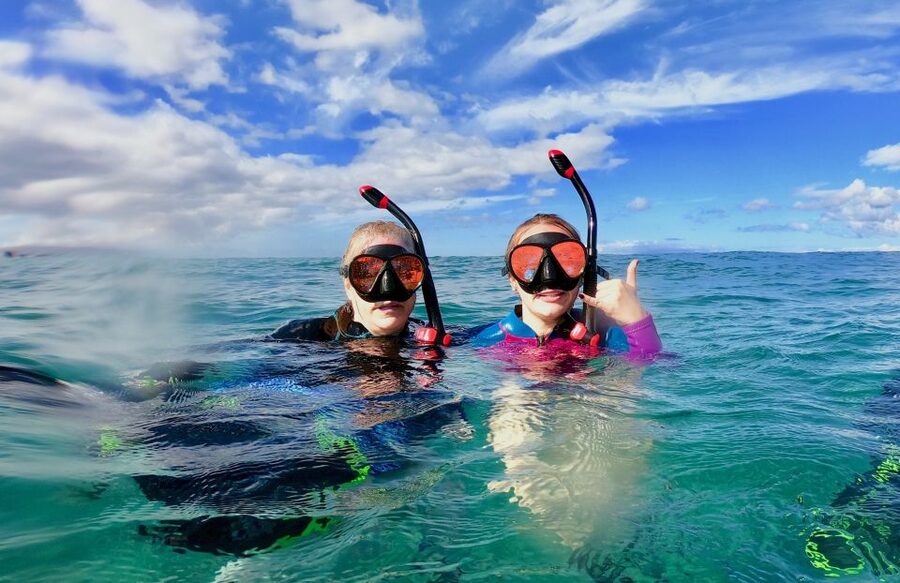 Wailea Beach: Snorkeling for Non-Swimmers Guided Tour - Wailea’s reef, turtles, and tropical fish