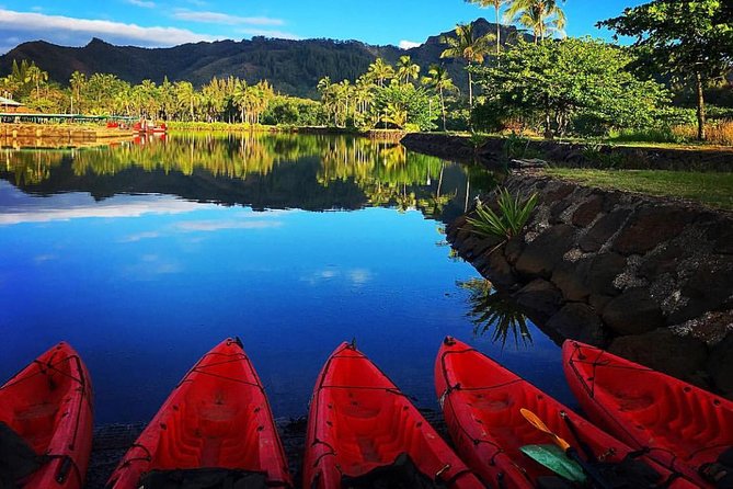 Wailua River & Waterfalls Kayak Tour: Expert-Guided Adventure - Why the Wailua River makes a good starting point