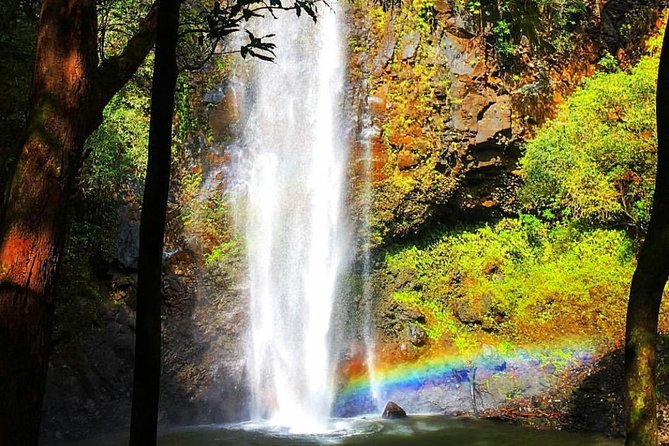 Wailua River & Waterfalls Kayak Tour: Expert-Guided Adventure - The guides add much of the value