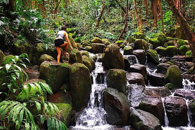 Wailua River & Waterfalls Kayak Tour: Expert-Guided Adventure - Timing, price, and overall value