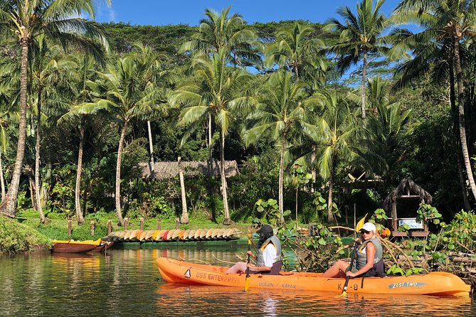 Wailua River & Waterfalls Kayak Tour: Expert-Guided Adventure - Who should book this Kauai adventure