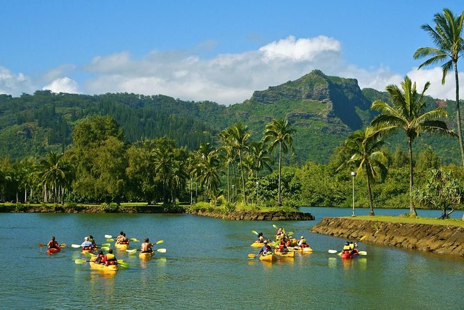 Wailua River & Waterfalls Kayak Tour: Expert-Guided Adventure - Should you book the Wailua River and Secret Falls tour?