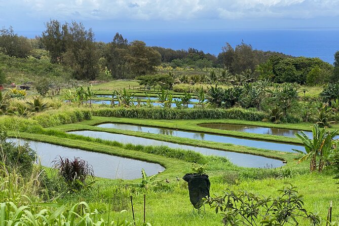 Waipi’o on Horseback: Mountain Ocean Views Working Cattle Ranch - A working Hawaiian ahupuaʻa near Honokaa