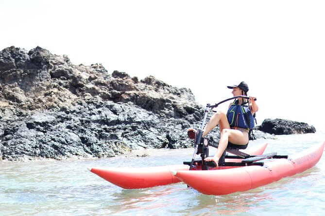 Water Bike Tour in South Maui - Wildlife Sightings Depend on the Day