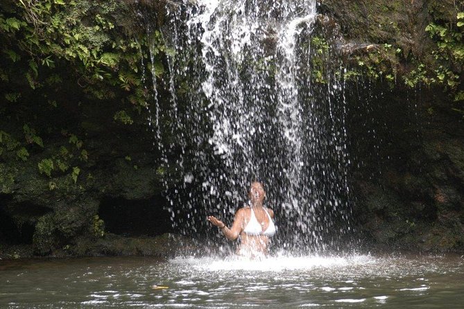 Waterfall & Rainforest Hiking Adventure with Hotel Pickup - A focused alternative to the full Road to Hana