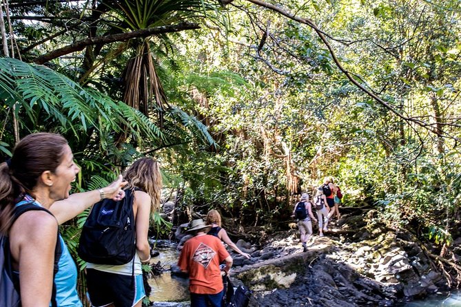 Waterfall & Rainforest Hiking Adventure with Hotel Pickup - Lunch on the rocks and what is included