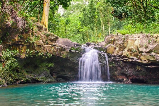 Waterfall & Rainforest Hiking Adventure with Hotel Pickup - Why the small group matters