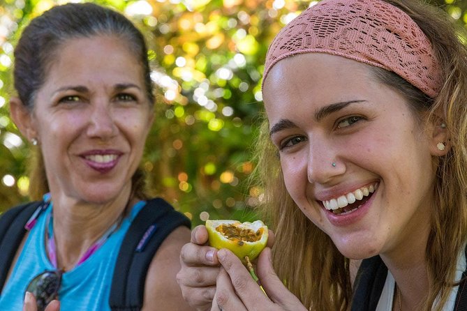 Waterfall & Rainforest Hiking Adventure with Hotel Pickup - Is $229.32 a fair price?