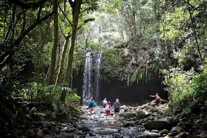 Waterfall & Rainforest Hiking Adventure with Hotel Pickup - From Paia to the East Maui rainforest
