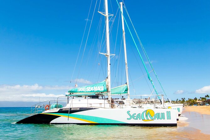 West Maui Afternoon Snorkel from Ka’anapali Beach - Crew service is a major part of the experience