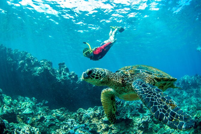 West Maui Afternoon Snorkel from Ka’anapali Beach - Who should book this afternoon cruise?
