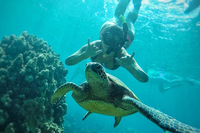 West Maui Half Day Snorkel from Ka’anapali Beach - What you may see beneath the surface
