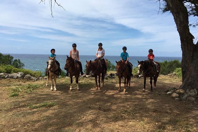 West Maui Mountain Waterfall and Ocean Tour via Horseback - Coastal views, not a beach ride