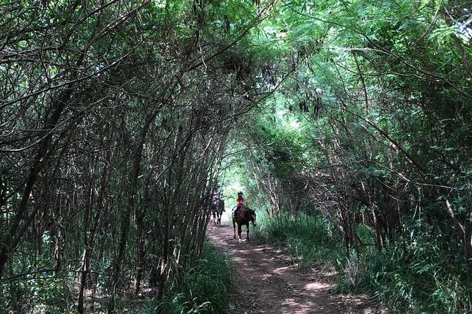 West Maui Mountain Waterfall and Ocean Tour via Horseback - Photos, drinks, and the practical extras