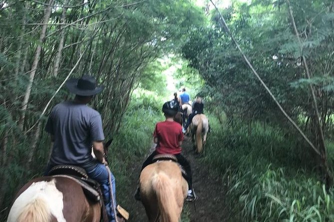 West Maui Mountain Waterfall and Ocean Tour via Horseback - Group size, pace, and comfort