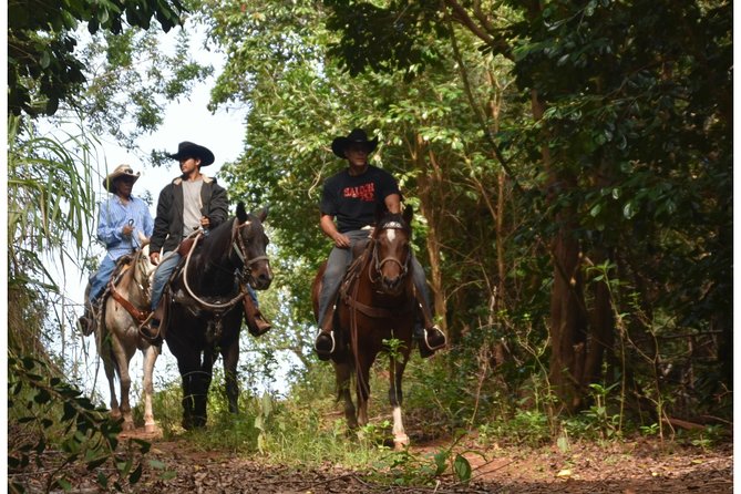 West Maui Mountain Waterfall and Ocean Tour via Horseback - Choosing a horse and getting comfortable in the saddle