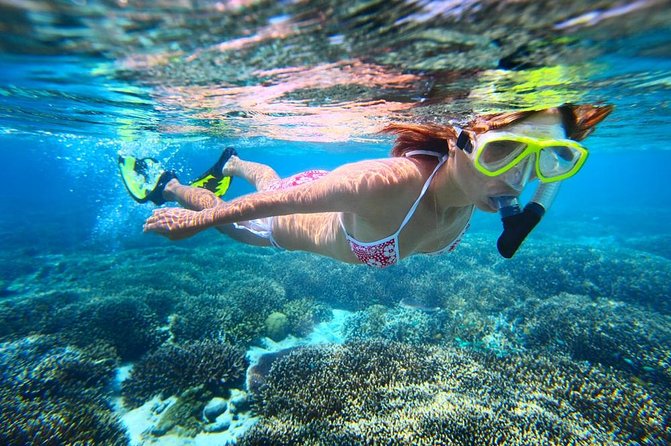 West Oahu Dolphin Watch and Snorkel Sail with Lunch - Mauna Lahilahi Beach and Kaneana Cave