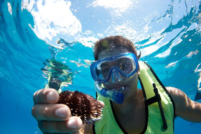 West Oahu Dolphin Watch and Snorkel Sail with Lunch - Lunch, drinks, and the ride home