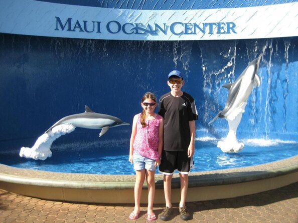 Whale Watching from Ma'alaea Harbor - Key points before you book