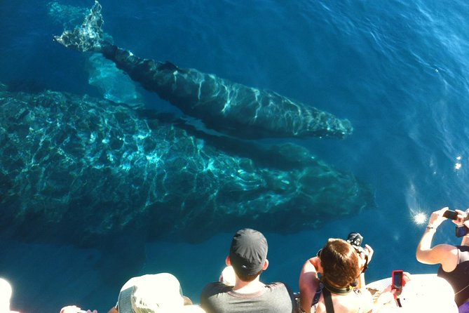 Whale Watching from Ma'alaea Harbor - Leaving Maalaea Harbor for open water