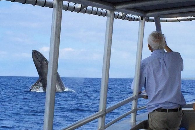 Whale Watching On The Big Island - Setting out from Honokohau Marina