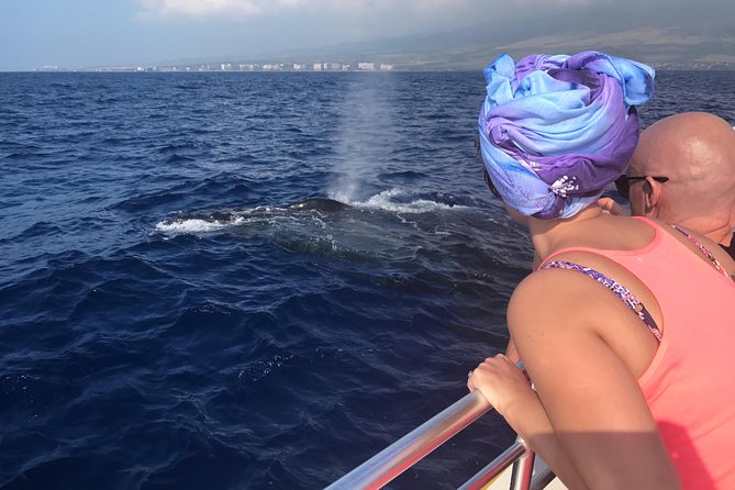 WHALES GUARANTEED Maui Whale Watching Makai Adventures - Key points about this Maui whale watch