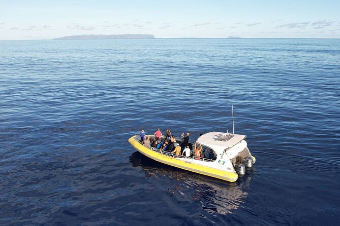 Winter Whale Watching Adventure in Kauai - The boat ride is exciting, and sometimes punishing
